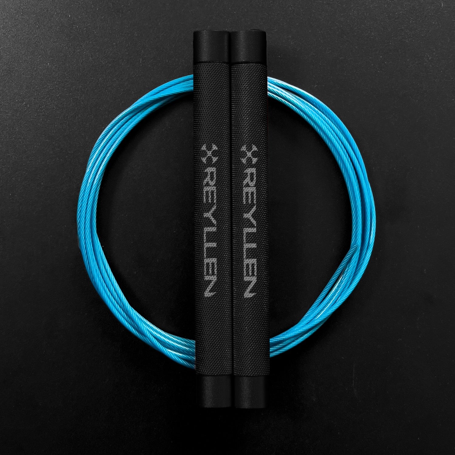 black with blue nylon coated cable